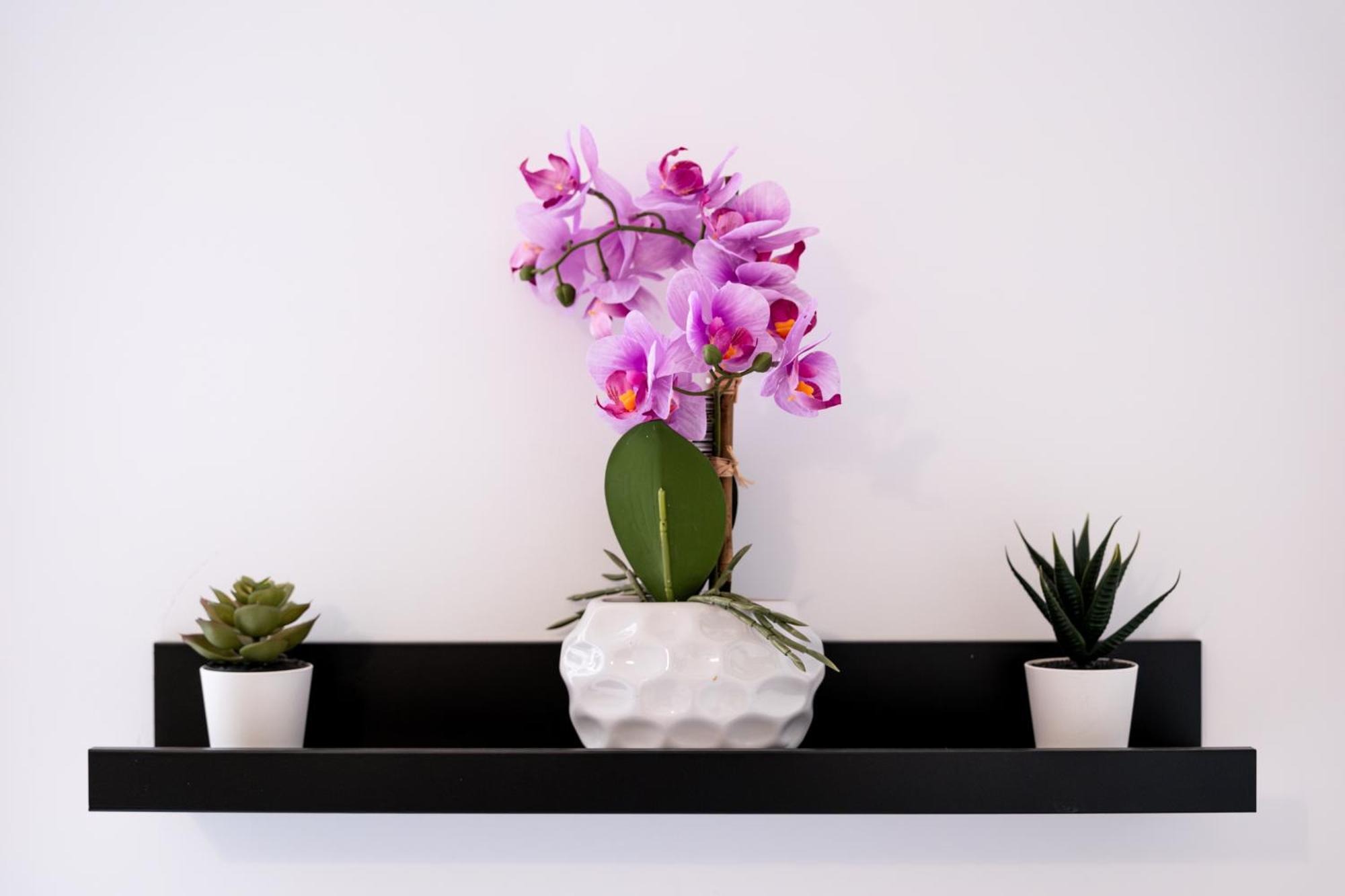 Soho Downtown Apartment 부다페스트 외부 사진